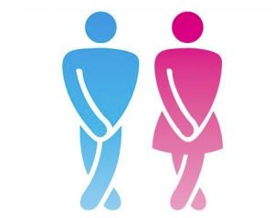 Presidente de la Sociedad Chilena de Uroginecología advierte que el estrés puede causar incontinencia urinaria